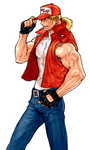 Terry Bogard Capcom VS SNK 2