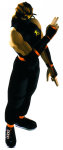 Ryu Hayabusa Dead or Alive