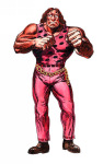 Hugo Final Fight