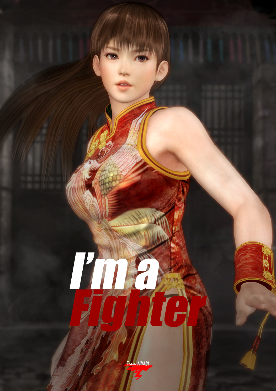 Pósters Dead or Alive 5 | Arcade Fighter