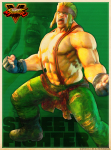Tarjeta Alex Street Fighter V