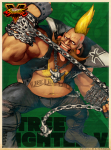 Tarjeta Birdie Street Fighter V