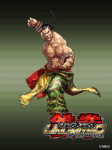 Artwork Feng Wei Tekken Tag Tournament 2 por Junny