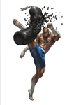Artwork Bruce Irvin Tekken Tag Tournament 2 por Junny