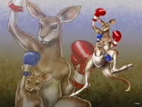 Wallpaper Roger Jr. Tekken Tag Tournament 2 por Shunya Yamashita