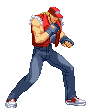 Sprite Terry Bogard CVS Pro
