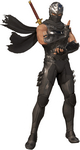 Artwork Hayabusa DOA6