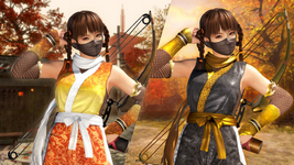 Morphing Ninja Costume Leifang DOA6