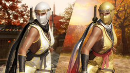 Morphing Ninja Costume Lisa DOA6