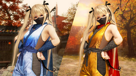 Morphing Ninja Costume Marie Rose DOA6