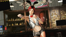 [Revival] Sexy Bunny Costume Mila DOA6