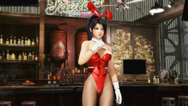 [Revival] Sexy Bunny Costume Momiji DOA6