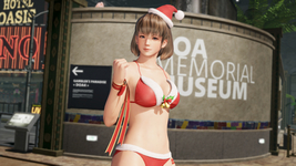 Bikini de Mamá Noel Helena DOA6