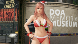 Bikini de Mamá Noel Honoka DOA6