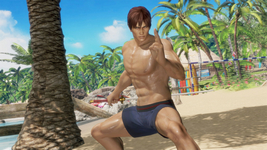 Seaside Eden Costume Hayabusa DOA6