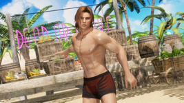 Seaside Eden Costume Hayate DOA6