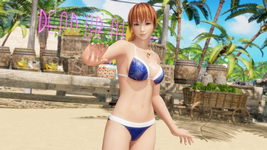 Seaside Eden Costume Kasumi DOA6