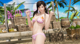 Seaside Eden Costume Kokoro DOA6
