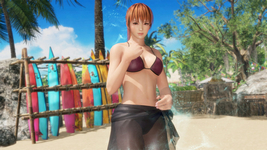 Seaside Eden Costume Phase 4 DOA6