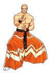 Artwork Geese Howard Fatal Fury 3: Road to the Final Victory