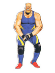 Artwork Big Bear Fatal Fury Special
