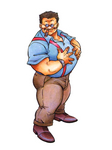 Artwork Cheng Sinzan Fatal Fury Special
