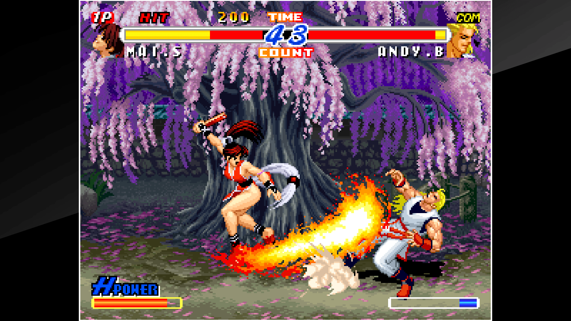 Pantallazo Real Bout Fatal Fury 2