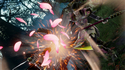 Pantallazo Soul Calibur VI