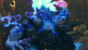 Pantallazo Super Street Fighter IV AE