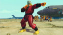 Ultra Street Fighter IV Wild Costumes DLC
