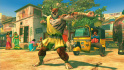 Ultra Street Fighter IV Wild Costumes DLC