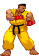 Sprite Sean Matsuda Street Fighter III