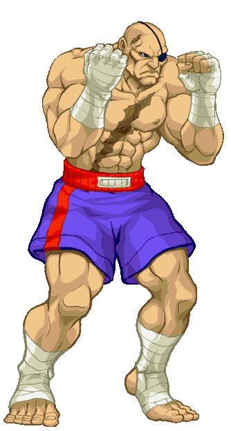 Sprite Sagat Super Street Fighter II Turbo HD Remix