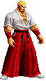 Sprite Geese Howard SVC Chaos