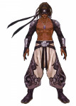 Artwork Bandeiras Hattori KOF XIV