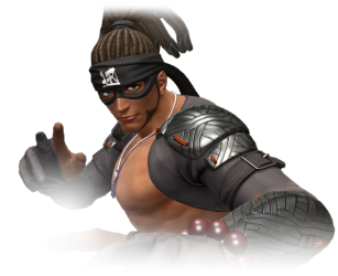 Retrato Bandeiras Hattori KOF XIV