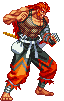 Sprite Raiga Ninja Master's