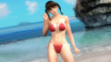DLC Flower Costume - Leifang
