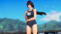 DLC Newcomer Costume Naotora Ii - DOA5 Last Round