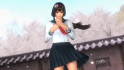 DLC Newcomer Costume Naotora Ii - DOA5 Last Round