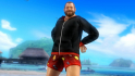 DLC Zack island Swimwear - Bass