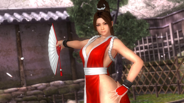 Mai Shiranui KOF Mashup DOA5 Last Round