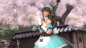 DLC Senran Kagura DOA5LR Hitomi