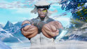 Pantallazo Rashid Street Fighter V