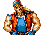 Retrato Terry Bogard Fatal Fury Special