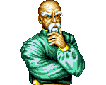 Retrato Tung Fu Rue Fatal Fury Special
