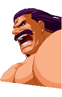 Retrato Wolfgang Krauser Real Bout Fatal Fury 2: The Newcomers