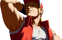 Retrato Terry Bogard SNK VS. CAPCOM Chaos