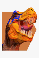 Retrato Rimgal Star Gladiator