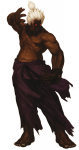 Shin Akuma SNK VS Capcom